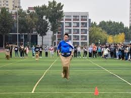 一日四赛全胜 樊振东斩获“留洋”首冠